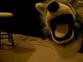 Wolfie Freak Eps-3