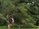 Naked Freedom 2005