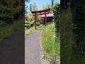 宮城県大崎市古川「化女沼龍神」