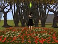 Sims2 Evenescence Everybody\ Sims2 Evenescence Everybody\