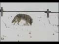 Restore-The-Balance-