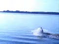 Surfing Murowaniec