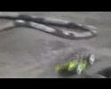 2008 AARCMCC Offroad Nationals Finals