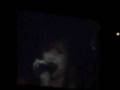 demi lovato party live in pittsburgh