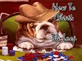 texas-hold-em-dealing-gameplay-.html