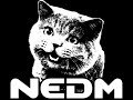 NEDM song NEDM song