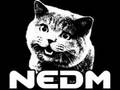 NEDM song