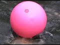 Milo_pink ball