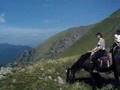 videos de Colle Garezzo - Monte Frontè - Triora Mendatica  ( Imperia)