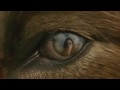 Exclusive 'New Moon' TV Spot