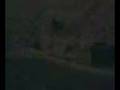 videos de Lollitamas 4