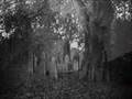 haunted Home-The Senior House Part 1