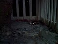 XMOD OFFROADIN\