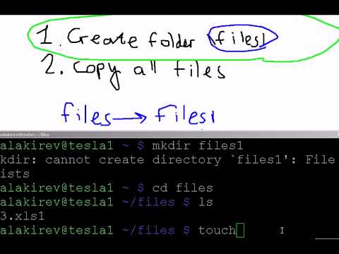 how to copy directory in linux