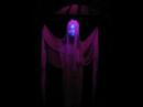 mikes-haunted-house-pictures.html