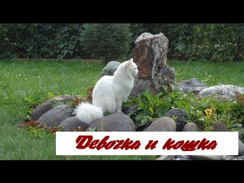 YouTube Трейлер