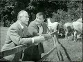 the-white-horses-tv-series-start-sequence.html