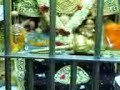hanuman mandir in sarangpur, gujarat