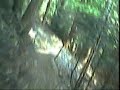 whistler mtb - schleyer trail - helmetcamera