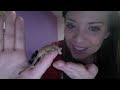 Click here to watch this video Vlog|5 facts|thehairbrushdiaires