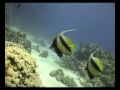 SubStef all'isola di Tiran