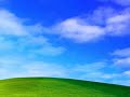Windows DreamScene Movie 6
