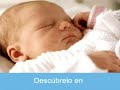 en el vientre materno   5/11