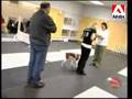 Loisirs Canins - Le dressage d'un chien