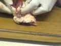 sheeps hearth cut open