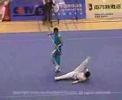 WUSHU demontration Martial Arts