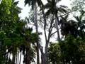 Las Estacas - Riverside paradise
