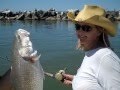 Apalachicola Bay Family Fishin' - YouTube