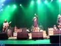 The-Black-Crowes-Vir