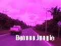 SEA Trip 2 Part 2 Borneo jungle
