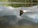 Zip Line