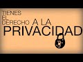La Declaraci髇 De Los Derechos Humanos La Declaraci髇 De Los Derechos Humanos