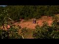 California Avocados - Quality Guaranteed