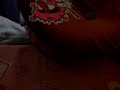 O Melhor Bodyboarder Da Minha Rua-D&acute;vert