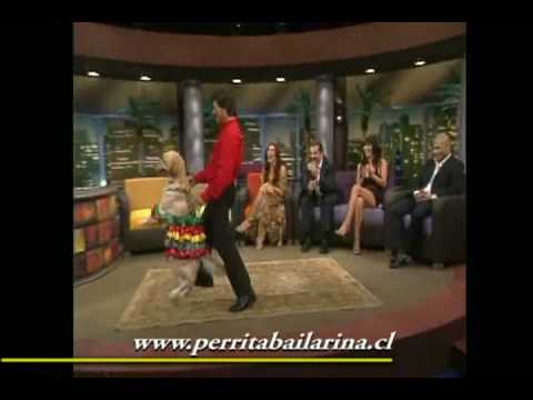 Imagen de previsualización de YouTube