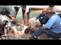Underwater Archaeology: Excavating the Nile with Dr Hawass