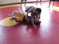 Criss Cross Pass BJ Penn Variation