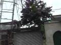 videos de La  madre natura  - Asunción 25 de octubre
