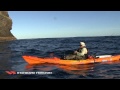 Kayaker's Near Miss with Shark!!