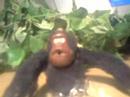 Cadbury Gorilla Keyring