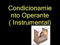 conductas conductas