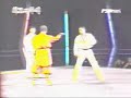 Shaolin Kung fu vs Tae kwon Do