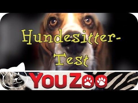 Hundesitter Wien 22 Hundesitter Wien 22