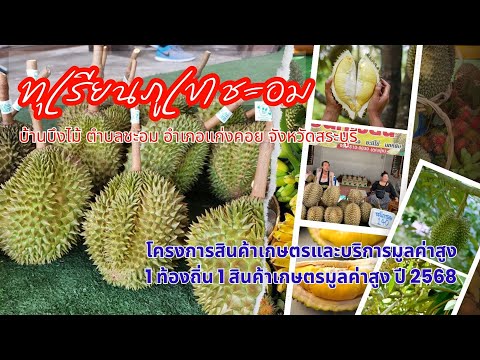 ความสำเร็จ "ทุเรียนภูเขาชะอม"