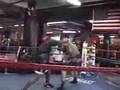 Dan Hughes boxing sparring at Gleason's Gym