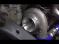 Banzai CRX! Banzai CRX!